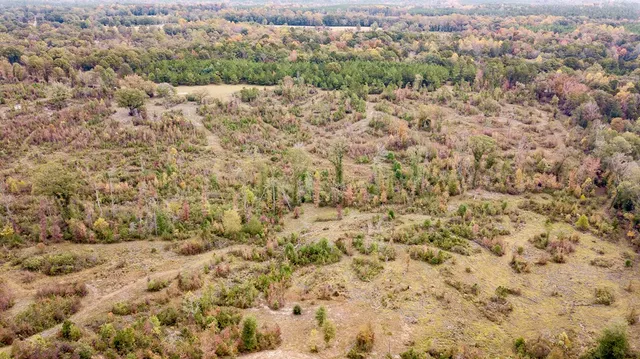 a view of a field with trees in the background