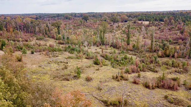 a view of a covered with fog