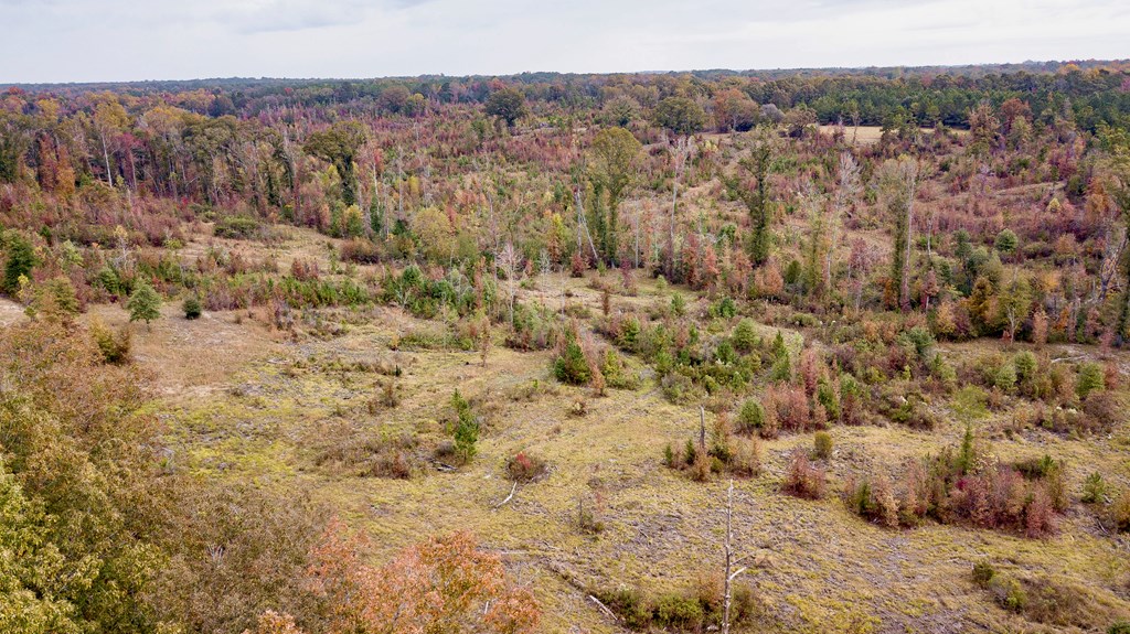 0 Battle Road Hurtsboro, AL 36860 - Photo 13 of 15