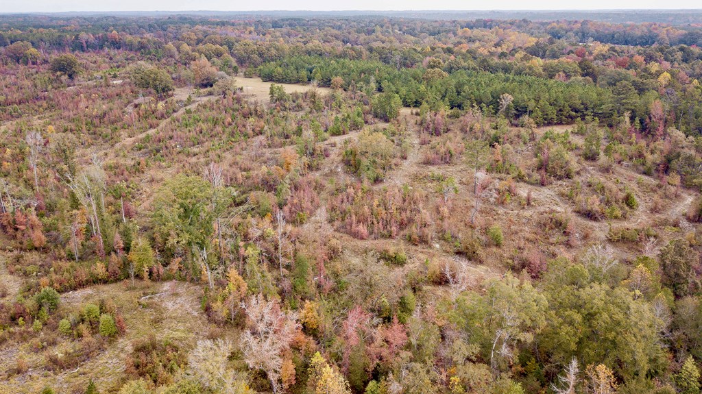 0 Battle Road Hurtsboro, AL 36860 - Photo 15 of 15 an aerial view of forest