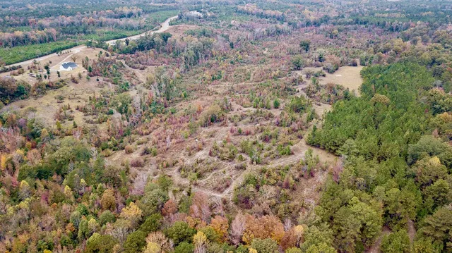 a view of a dry yard with green space