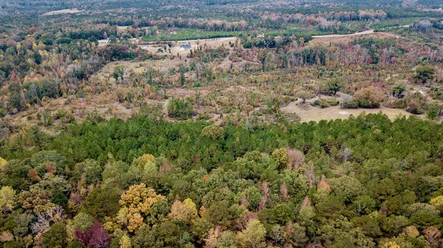 an aerial view of residential house with space and trees all around