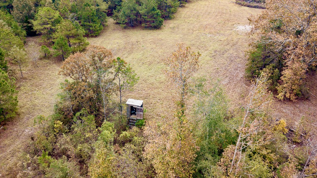 0 Battle Road Hurtsboro, AL 36860 - Photo 7 of 15 a view of a small yard