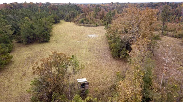 a view of a dry yard
