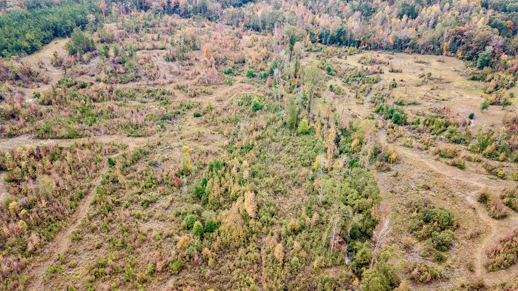 0 Battle Road Hurtsboro, AL 36860 - Photo 10 of 15 a view of a yard