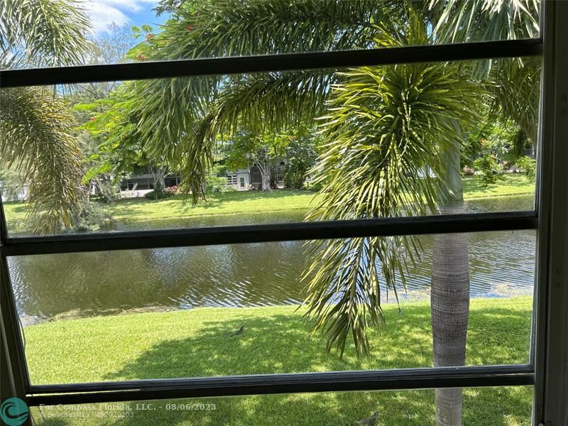 a view of a lake from a window