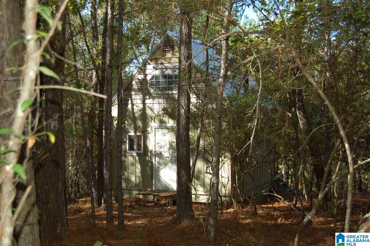 22.49-acres Double Branch Road, Unit 22 49 ACRES Marion, AL 36756 - Photo 3 of 30