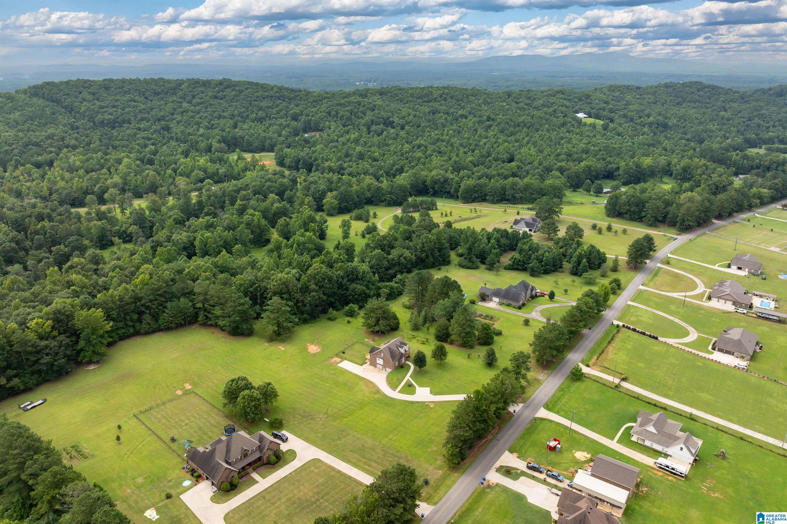 2448 Crawfords Cove Road Springville, AL 35146 - Photo 53 of 54 Gallery Image 53