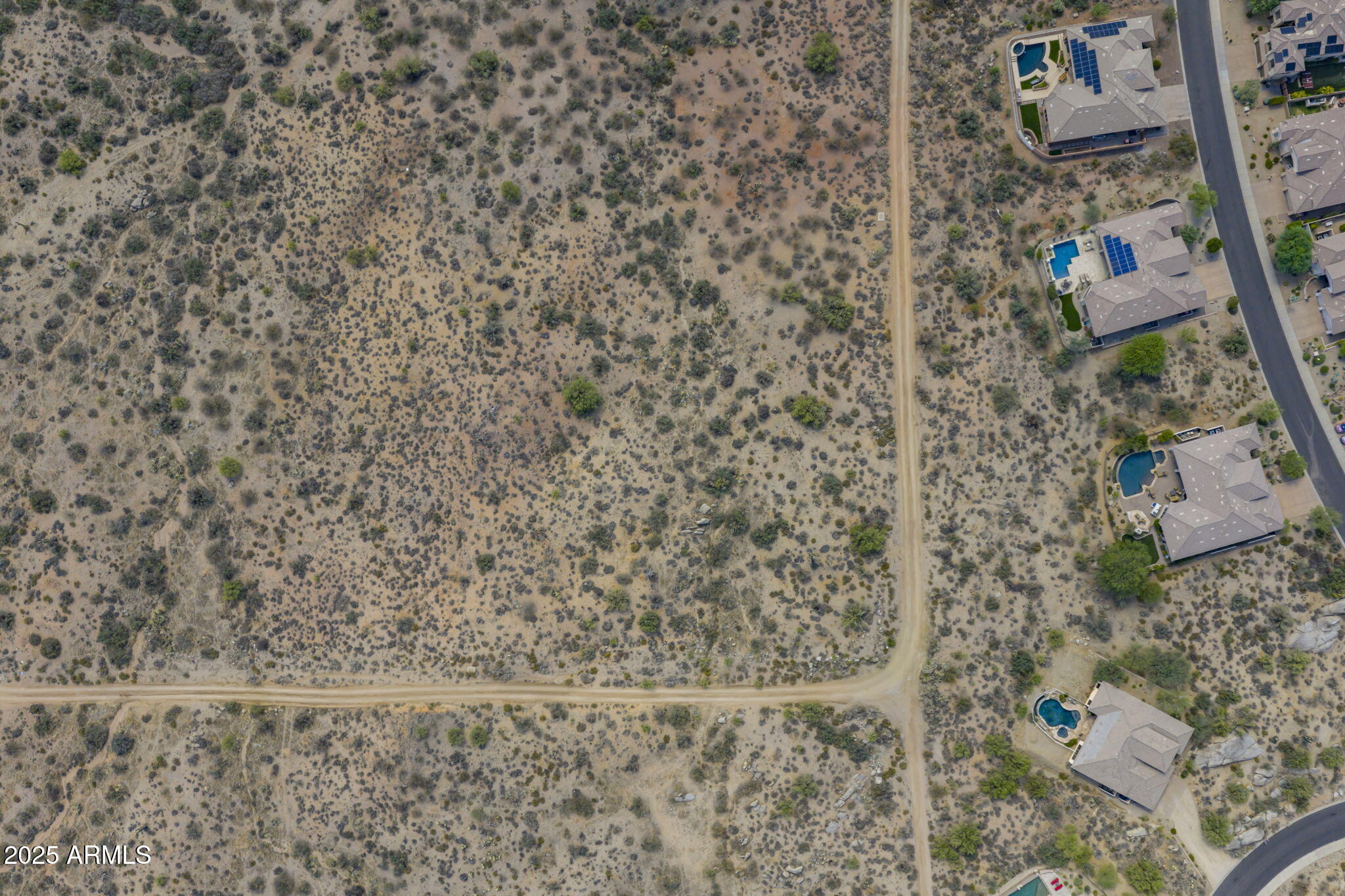 11473 East Oberlin Way, Unit 20 Scottsdale, AZ 85262 - Photo 13 of 29 a close up of a plant