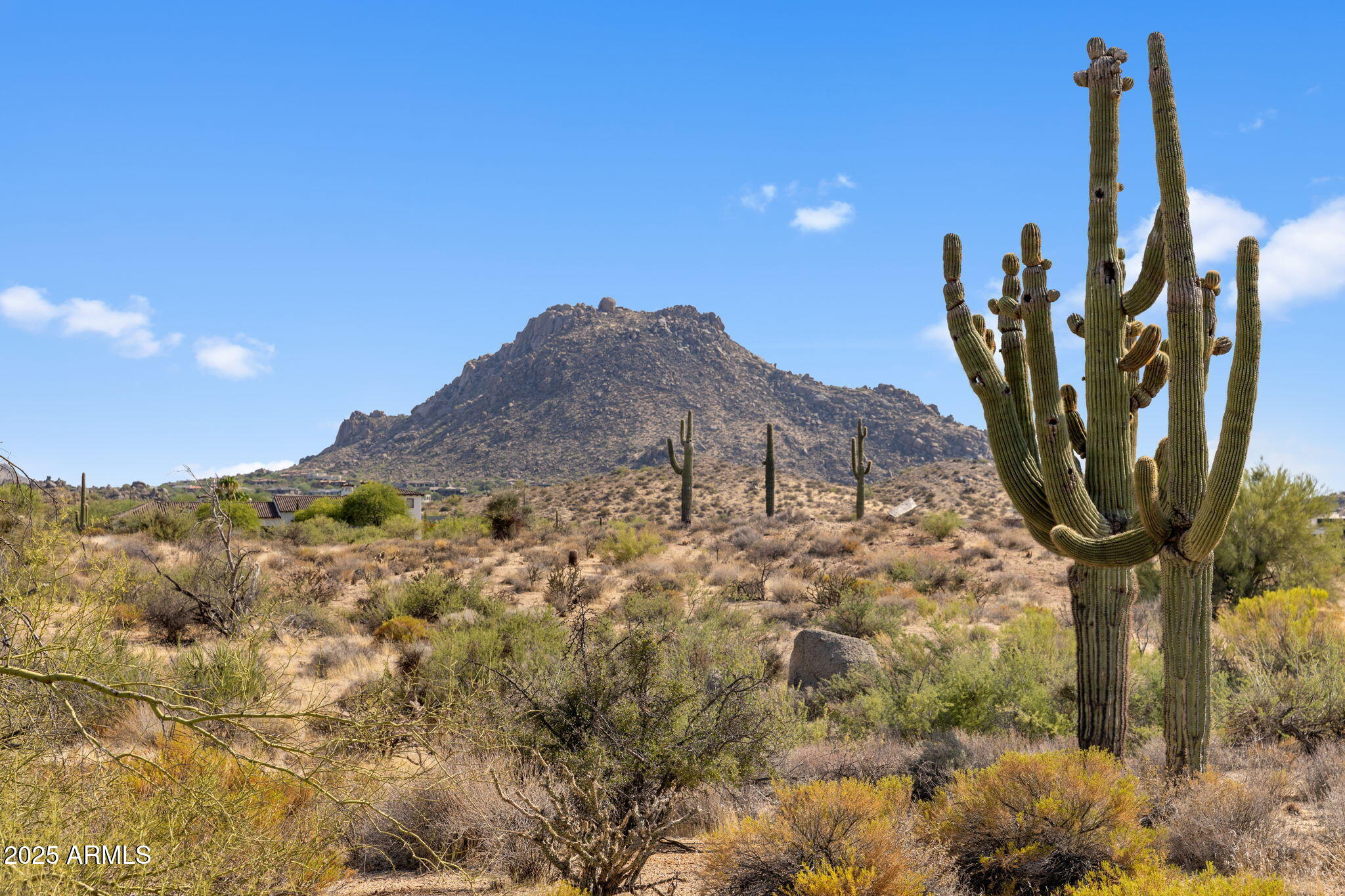 11473 East Oberlin Way, Unit 20 Scottsdale, AZ 85262 - Photo 2 of 29 a view of a yard with a tree