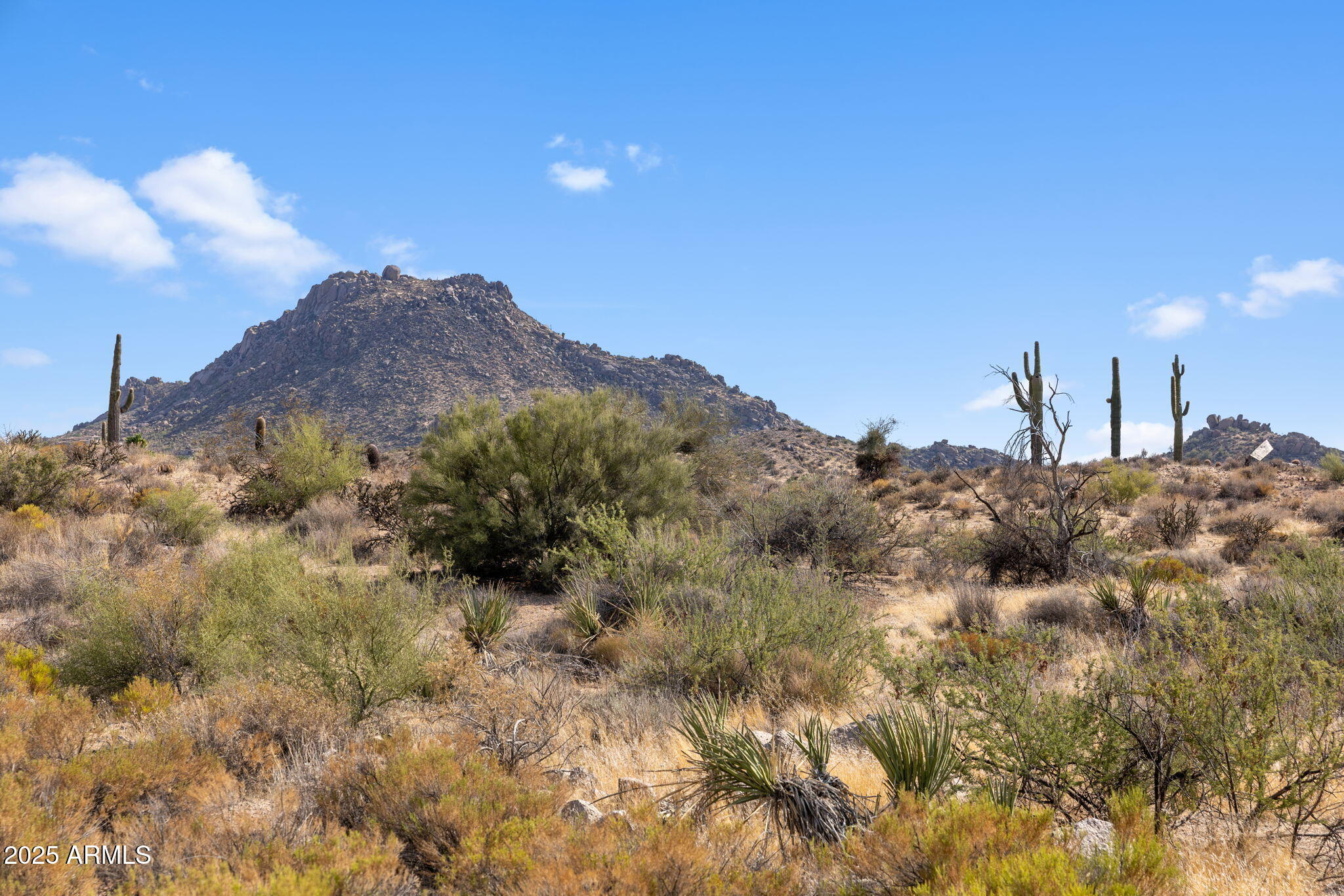 11473 East Oberlin Way, Unit 20 Scottsdale, AZ 85262 - Photo 29 of 29 a view of a houses with a mountain in the background