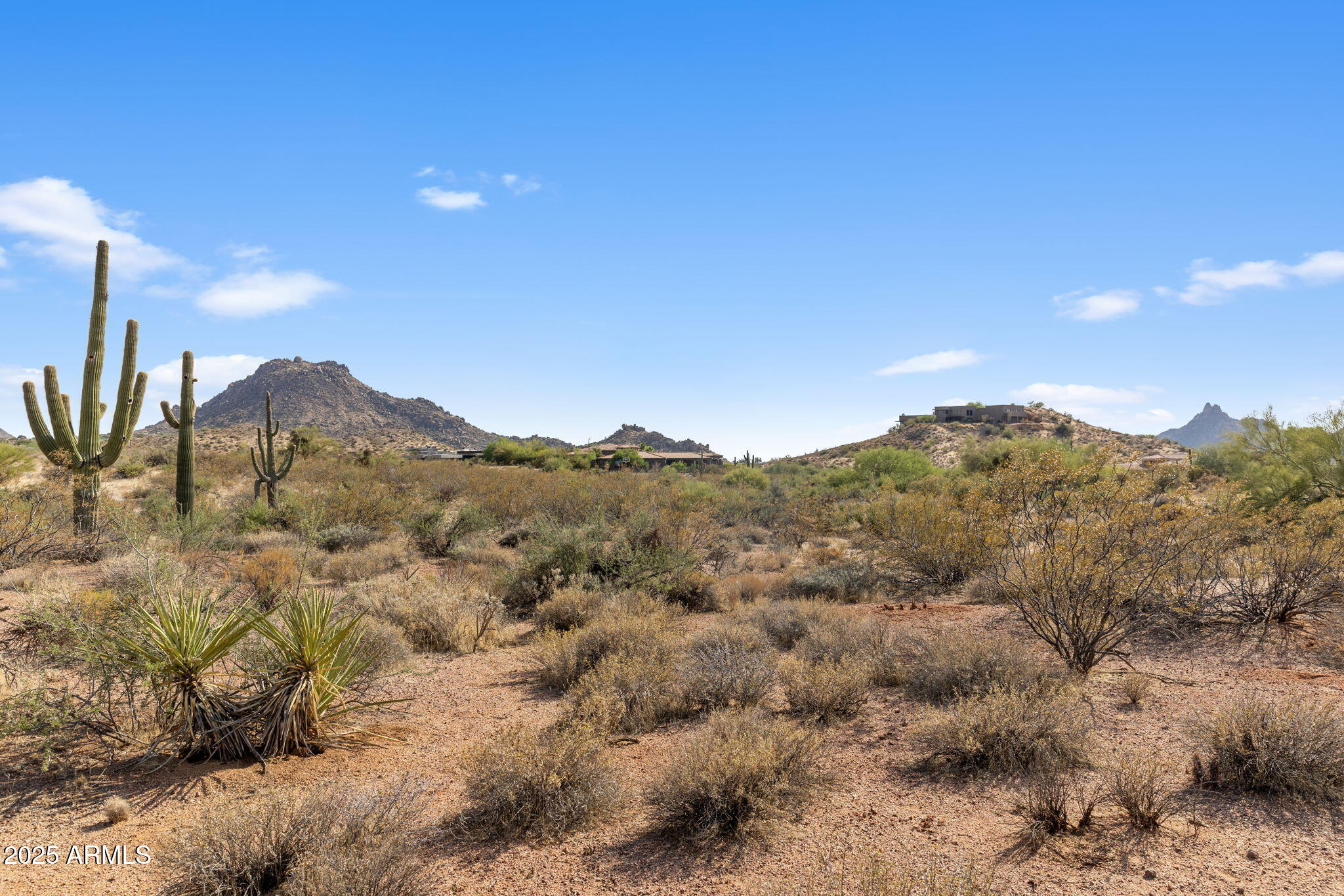 11473 East Oberlin Way, Unit 20 Scottsdale, AZ 85262 - Photo 10 of 29 a view of a dry yard with mountains in the background