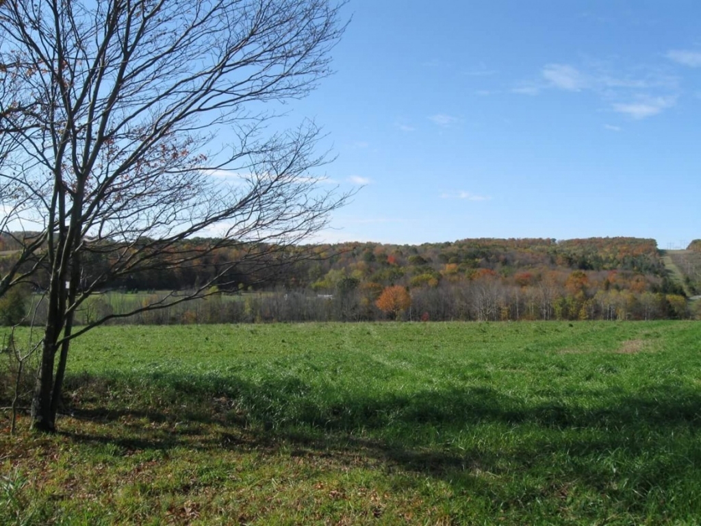 2 Lainhart Road Owego, NY 13827 - Photo 8 of 11 Gallery Image 8