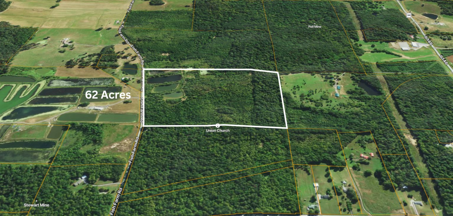 40 Fish Farm Road Golconda, IL 62938 - Photo 5 of 18