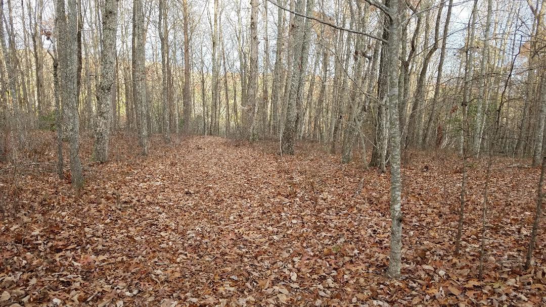 545 Wilderness Way Dunlap, TN 37327 - Photo 1 of 37 thumbnail (23)
