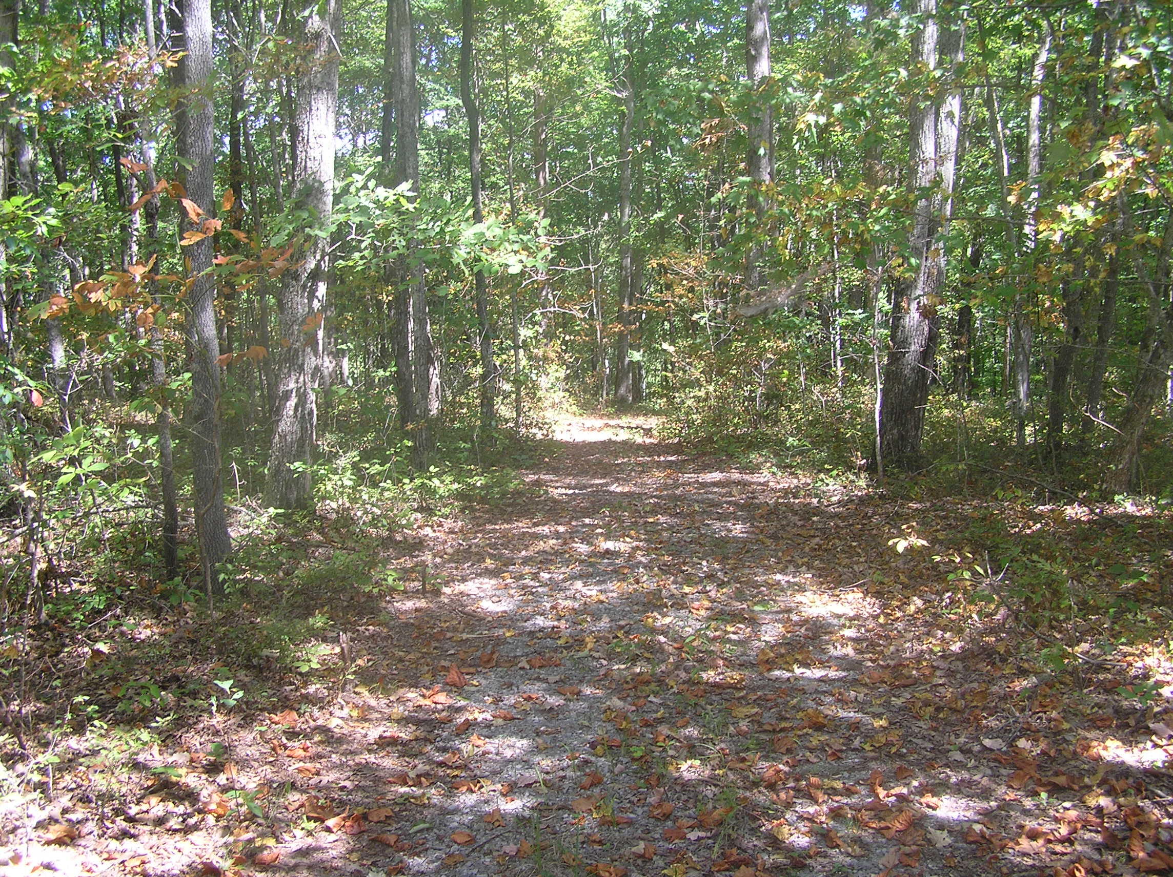 545 Wilderness Way Dunlap, TN 37327 - Photo 15 of 37 wild 013