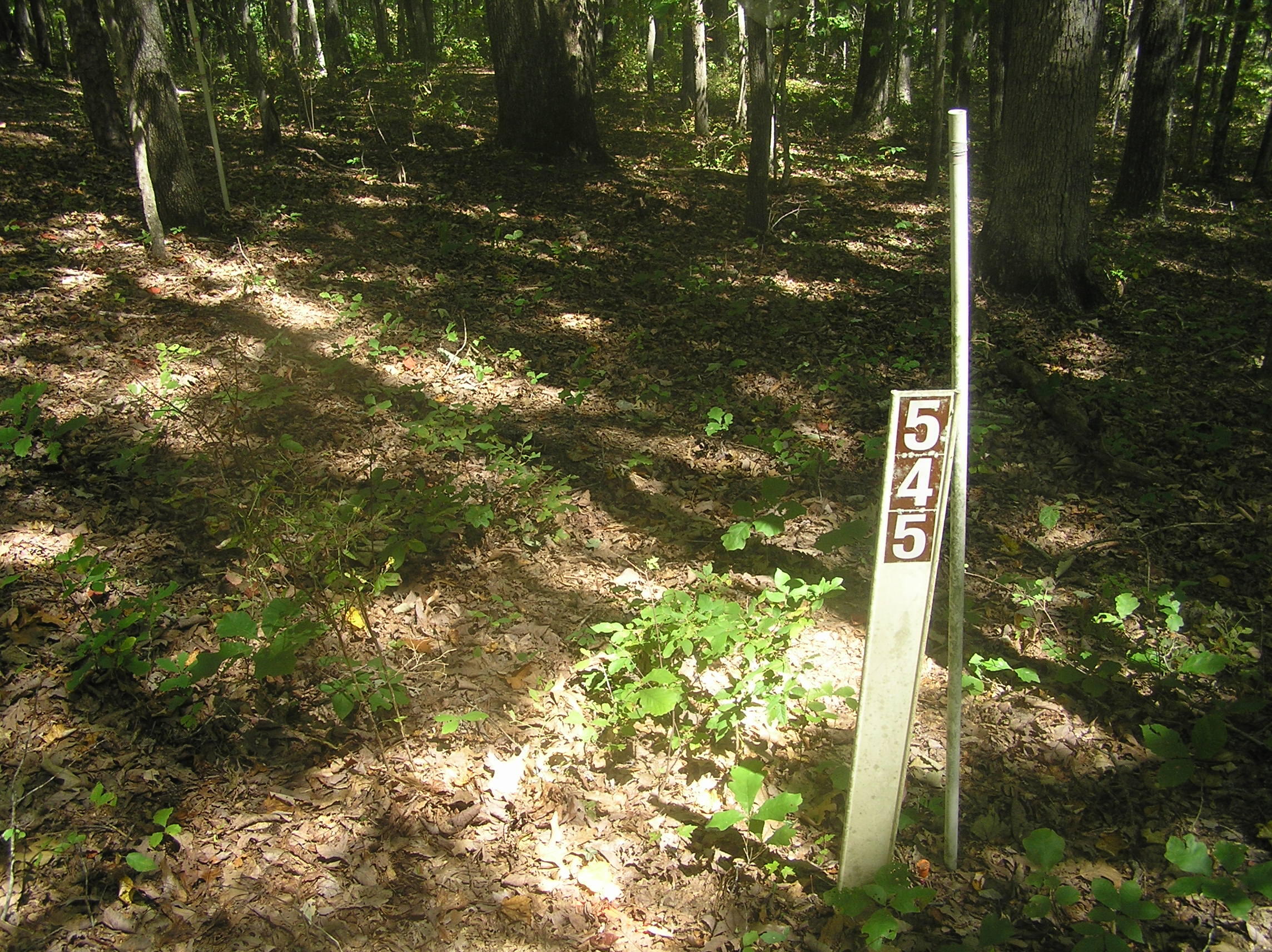 545 Wilderness Way Dunlap, TN 37327 - Photo 26 of 37 wild 008