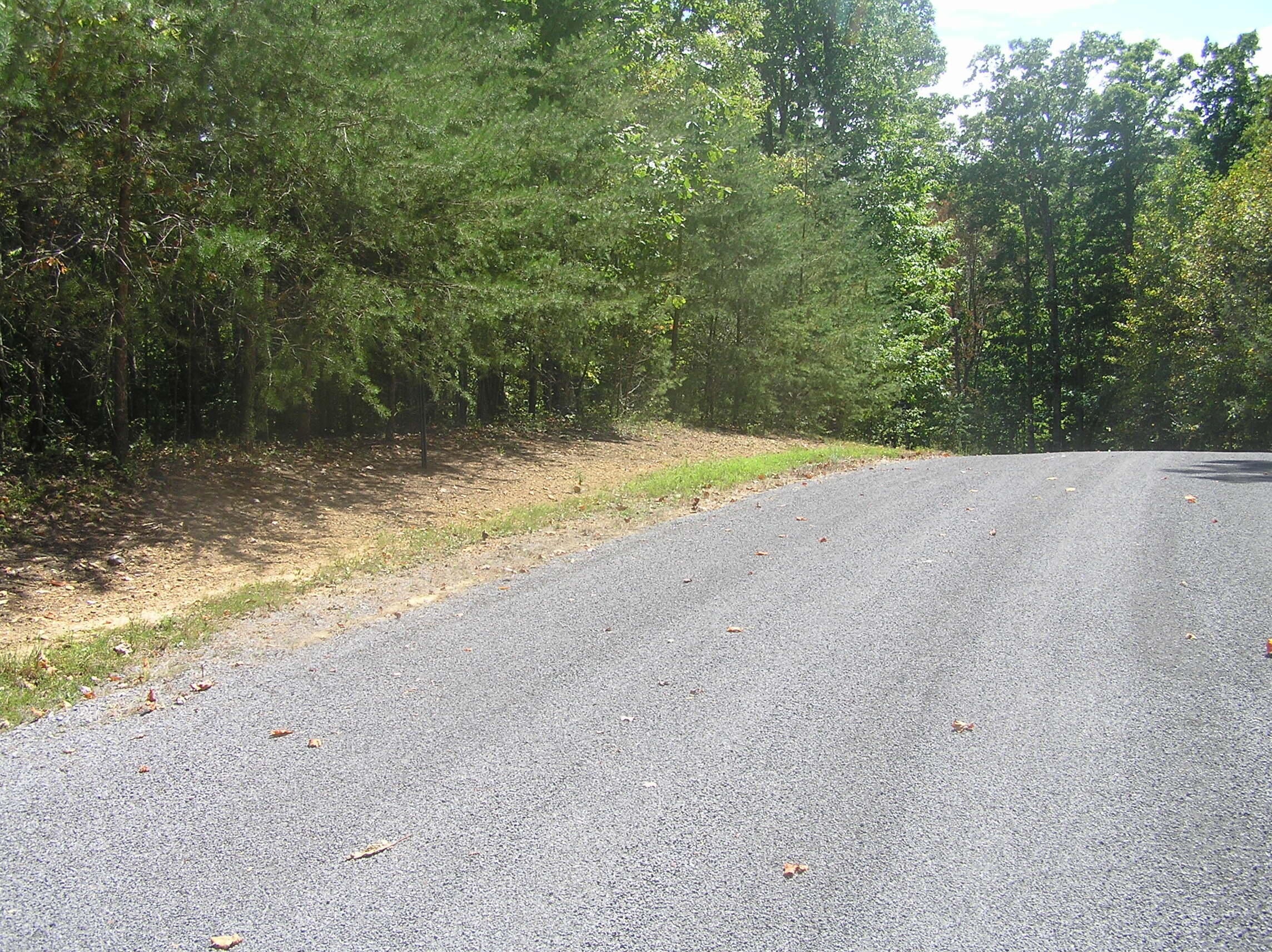 545 Wilderness Way Dunlap, TN 37327 - Photo 29 of 37 wild 014