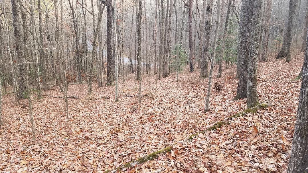 545 Wilderness Way Dunlap, TN 37327 - Photo 3 of 37 thumbnail (18)
