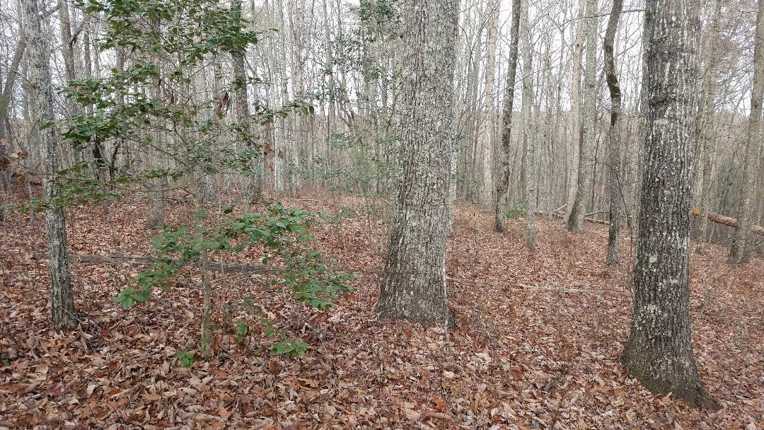545 Wilderness Way Dunlap, TN 37327 - Photo 31 of 37 thumbnail (10)