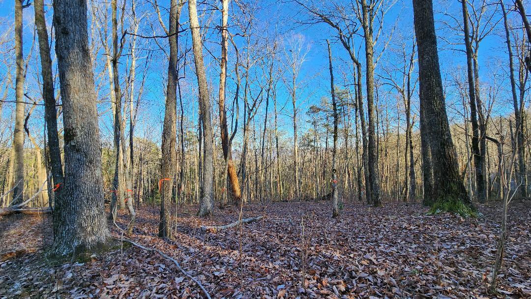 545 Wilderness Way Dunlap, TN 37327 - Photo 35 of 37 thumbnail (6)