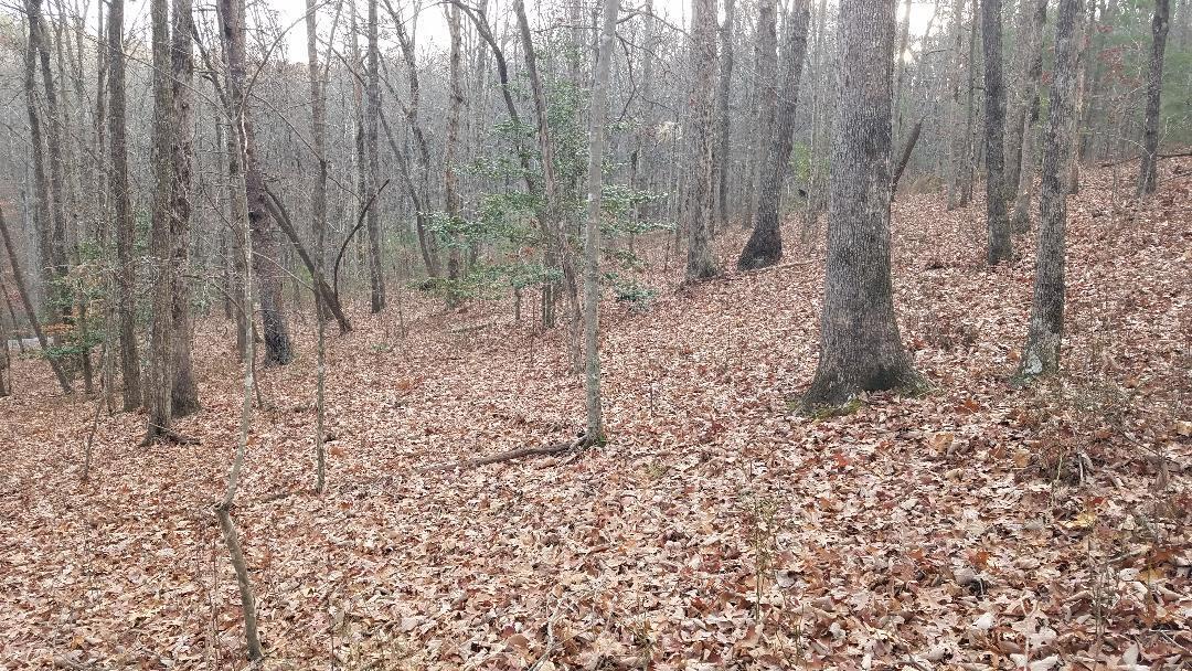 545 Wilderness Way Dunlap, TN 37327 - Photo 36 of 37 thumbnail (17)