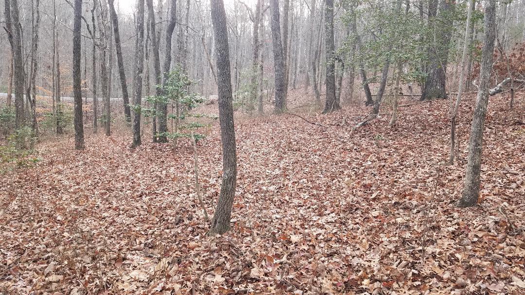 545 Wilderness Way Dunlap, TN 37327 - Photo 6 of 37 thumbnail (14)
