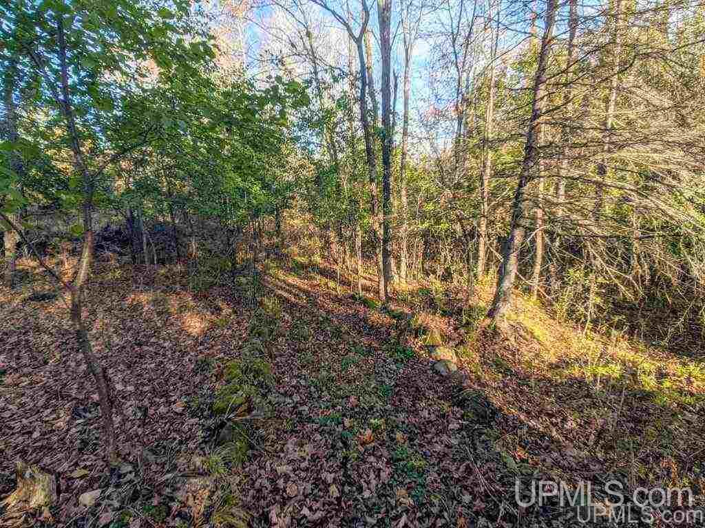 205 Baumgartner Road Iron River, MI 49935 - Photo 14 of 17