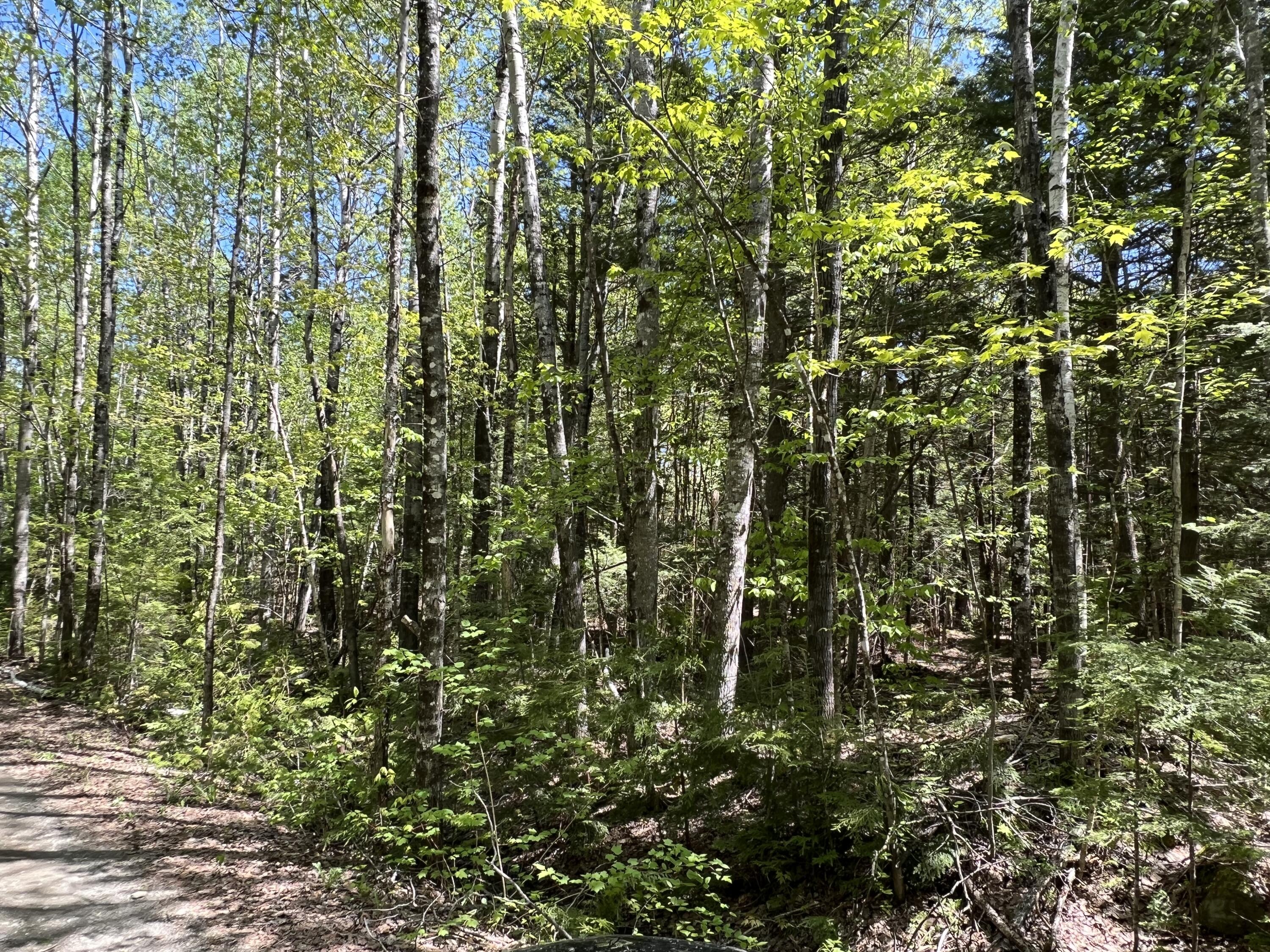 Lot 30 Mountain Road Linneus, ME 04730 - Photo 19 of 24 2AD8DBDD-F987-4B90-895E-1917F28ACDBD