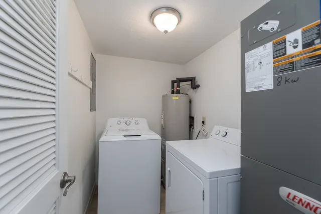 a view of a park with palm trees