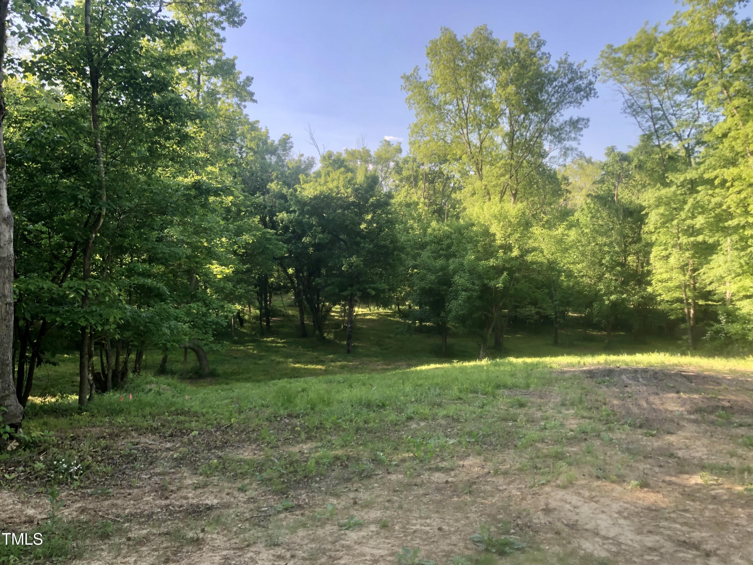 0 Bittle Road Gibsonville, NC 27249 - Photo 11 of 12 8C48CA32-25B5-444C-B413-B74755E226F8