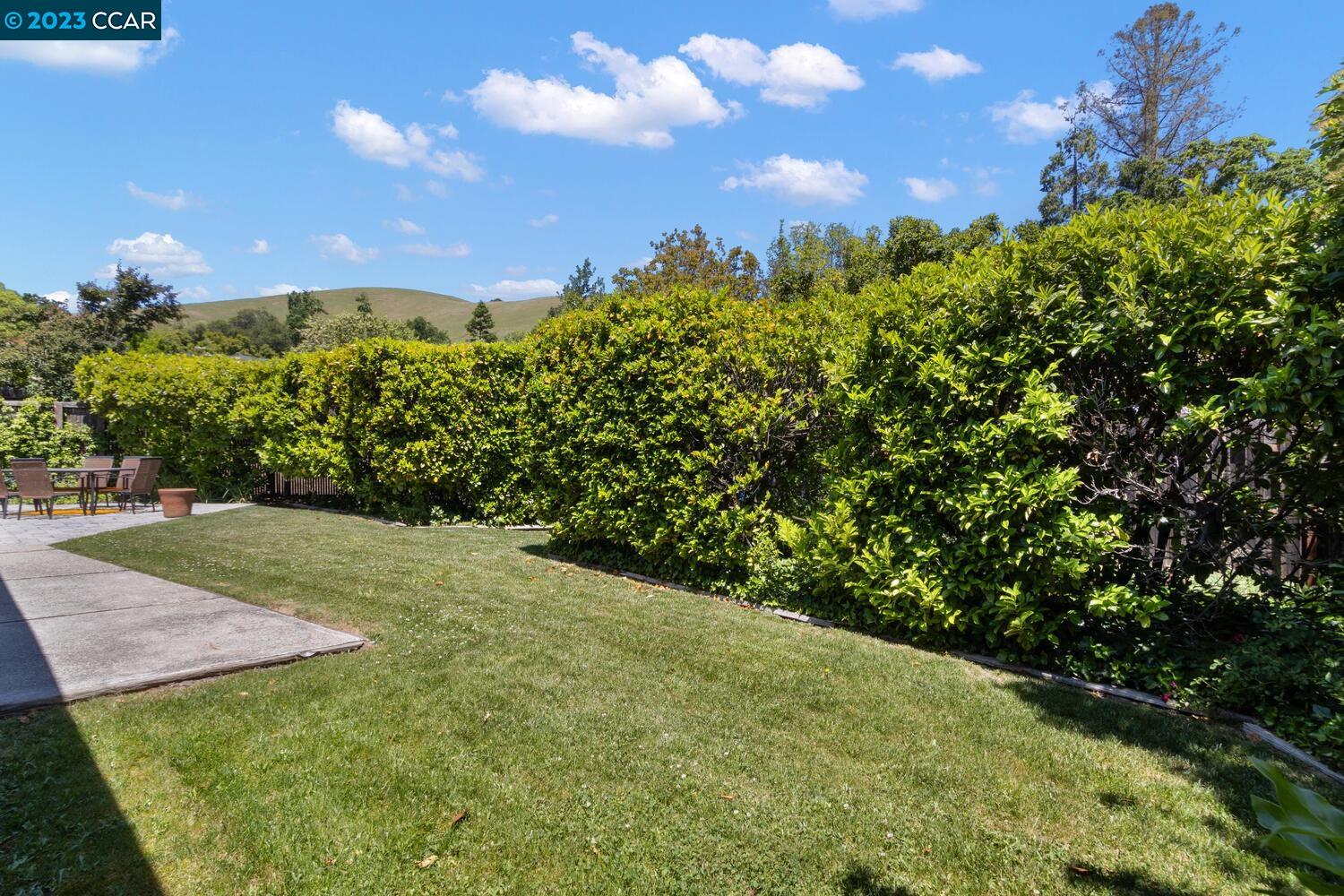 3374 Mildred Lane Lafayette, CA 94549 - Photo 30 of 34 a view of a yard with an tree