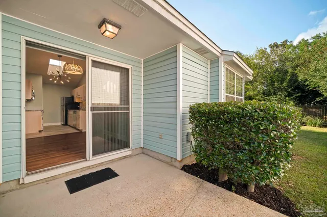 a view of a backyard with plants and large tree