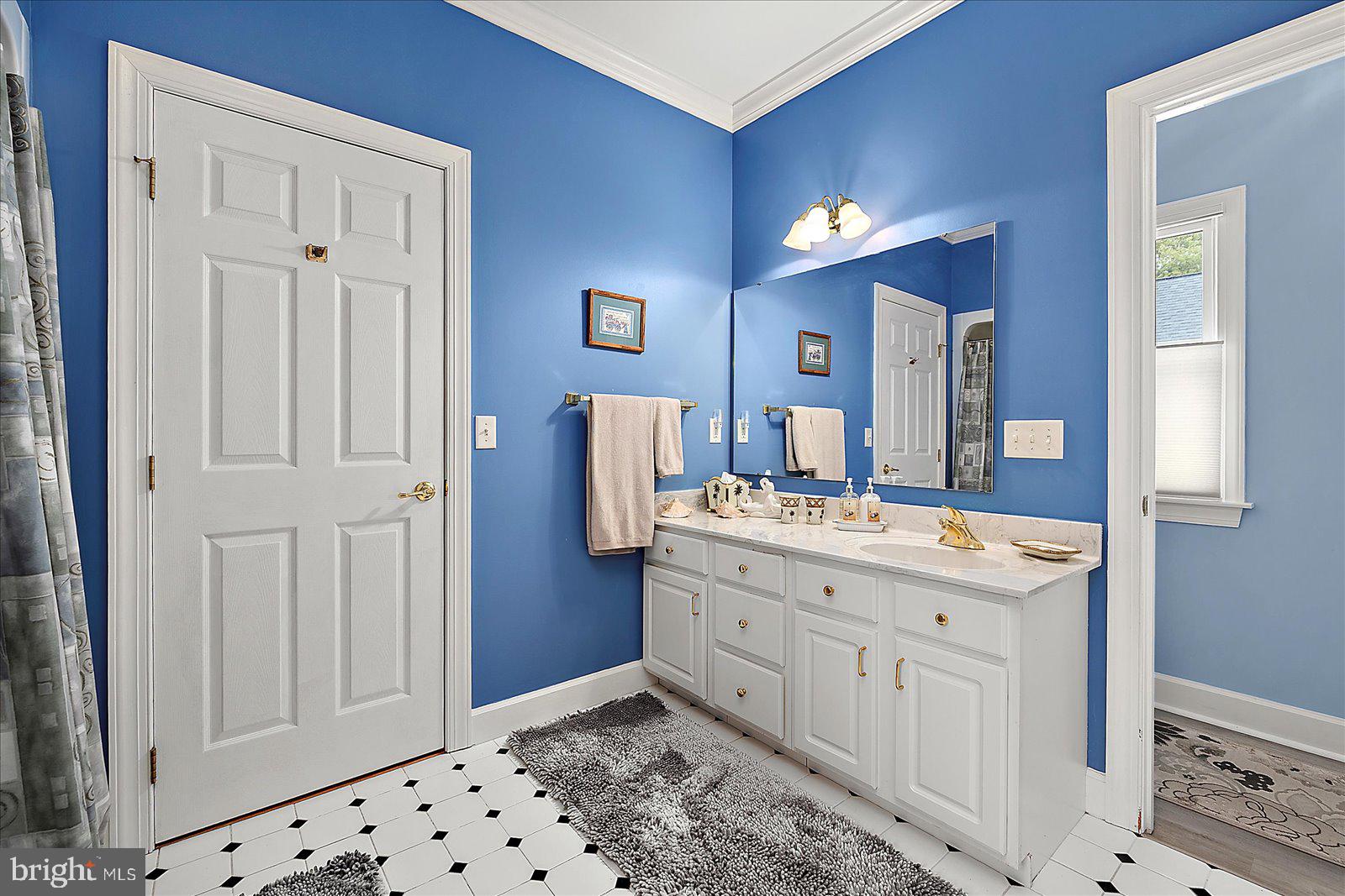 30944 Holts Landing Road Dagsboro, DE 19939 - Photo 43 of 77 Closet and double sink