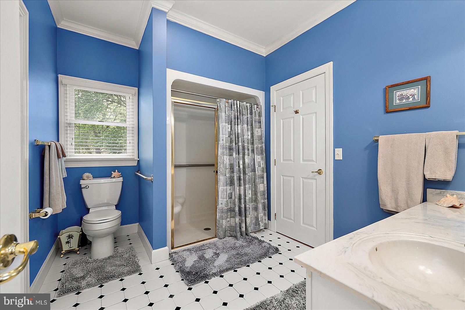 30944 Holts Landing Road Dagsboro, DE 19939 - Photo 44 of 77 Walk in Shower