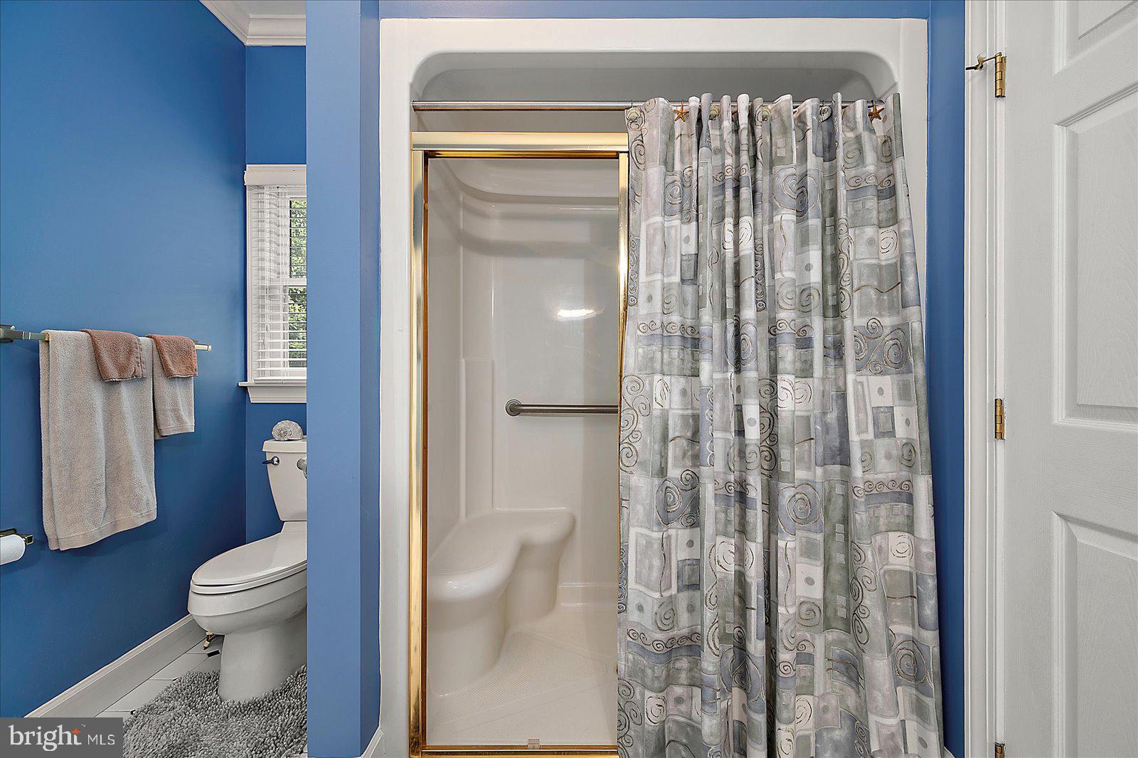 30944 Holts Landing Road Dagsboro, DE 19939 - Photo 45 of 77 Shower - seat