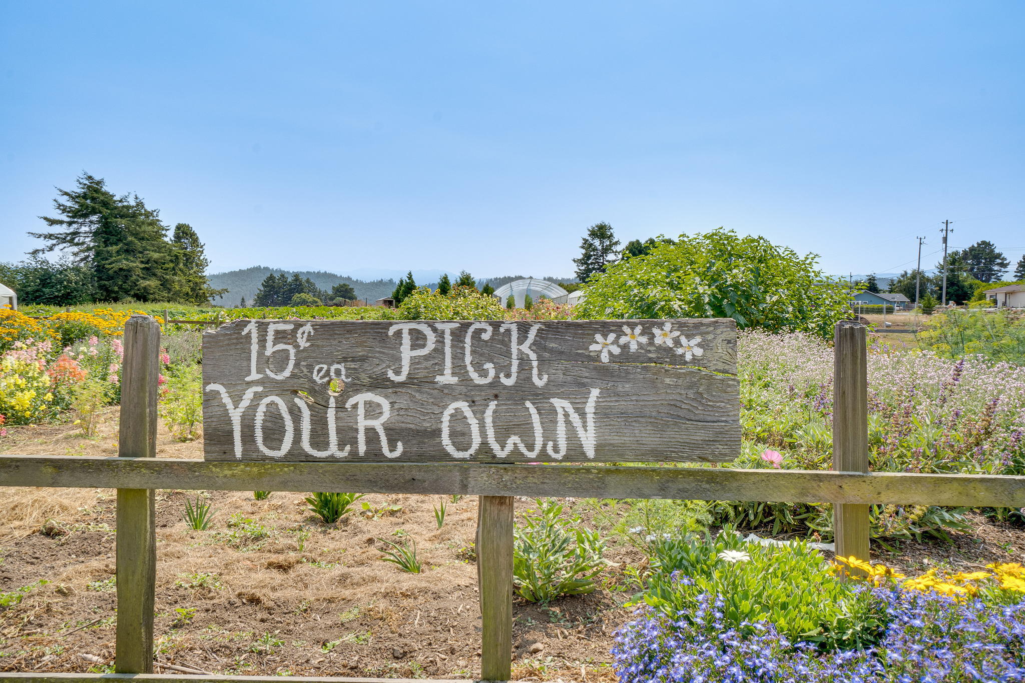 6786 Rohnerville Road Hydesville, CA 95547 - Photo 64 of 72 64-web-or-mls-119