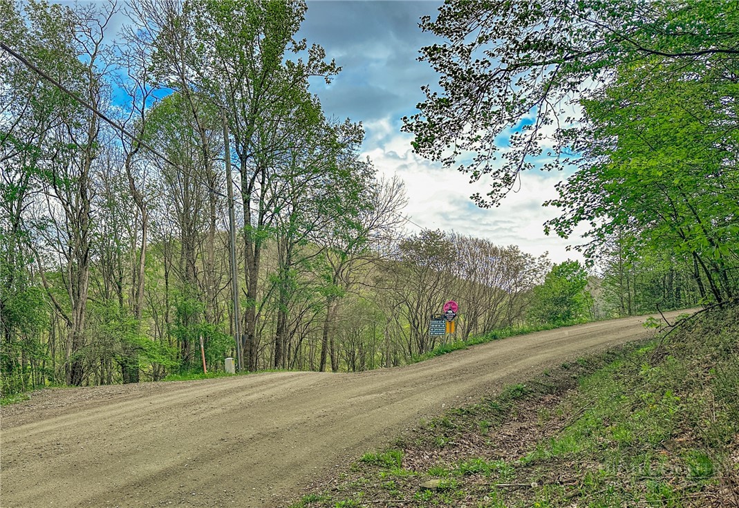 Silverleaf Road Zionville, NC 28698 - Photo 10 of 25