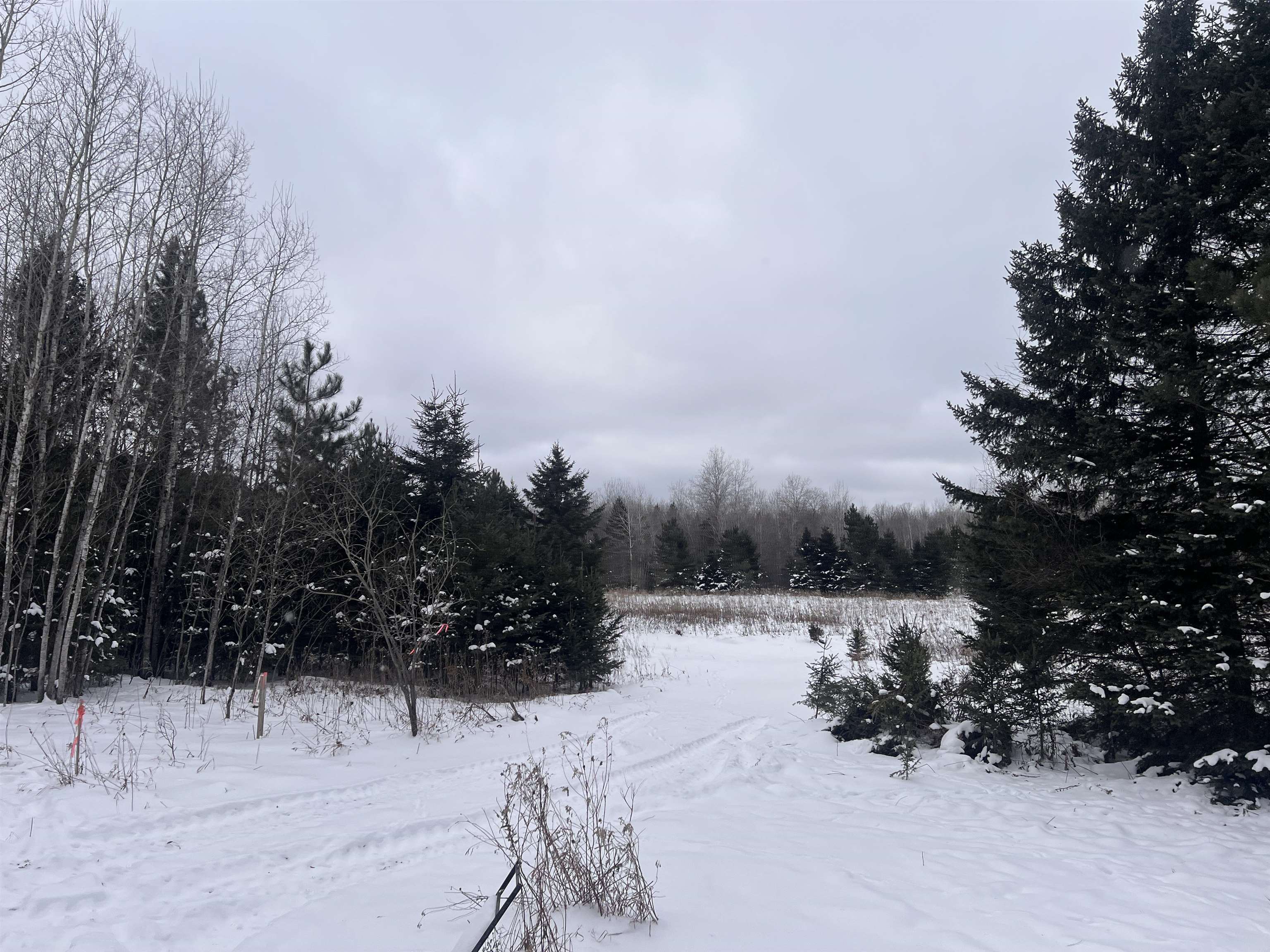 Dream Lake Road, Unit 5 Long Lake, WI 54542 - Photo 1 of 6