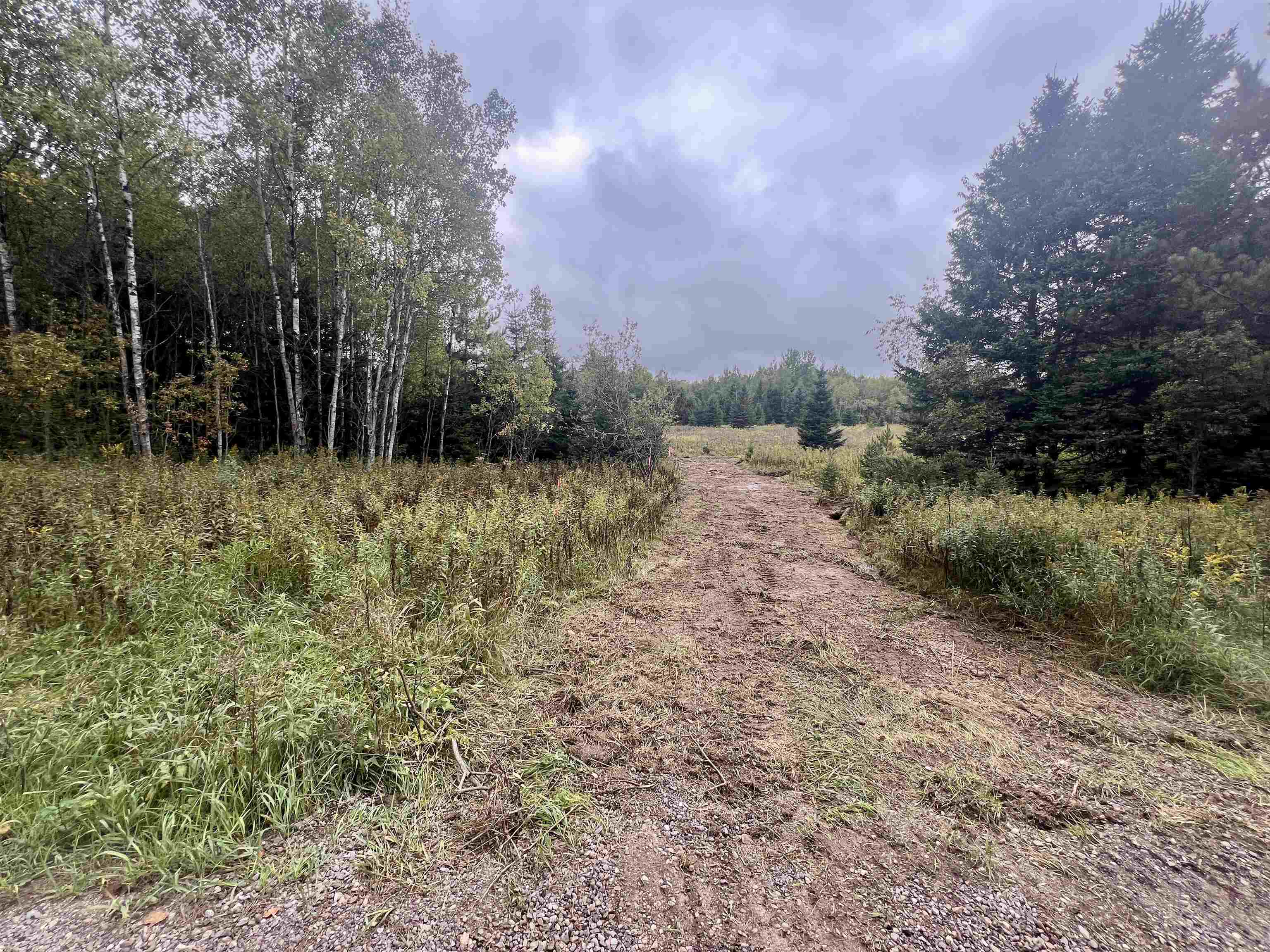 Dream Lake Road, Unit 5 Long Lake, WI 54542 - Photo 2 of 6