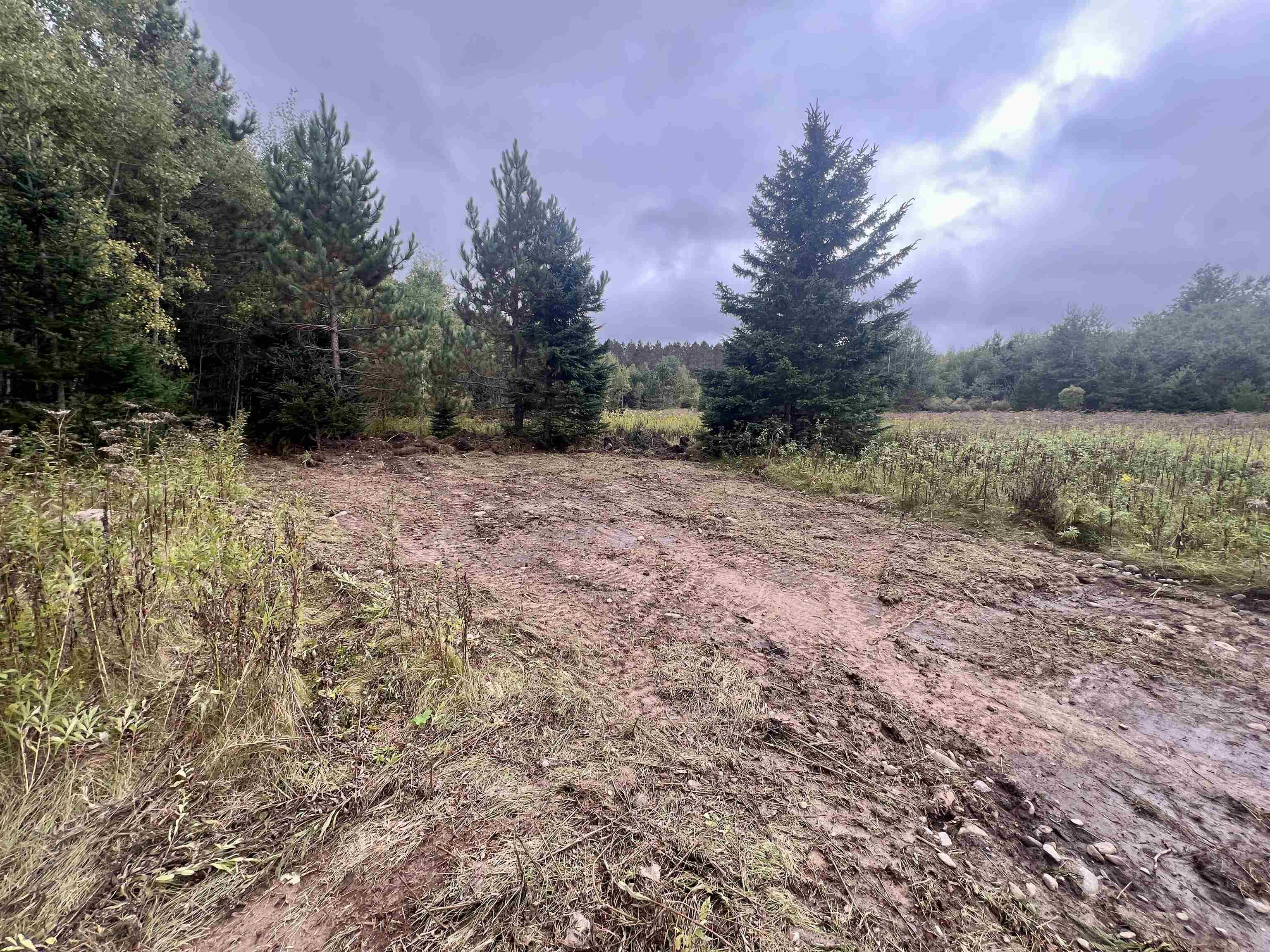 Dream Lake Road, Unit 5 Long Lake, WI 54542 - Photo 3 of 6