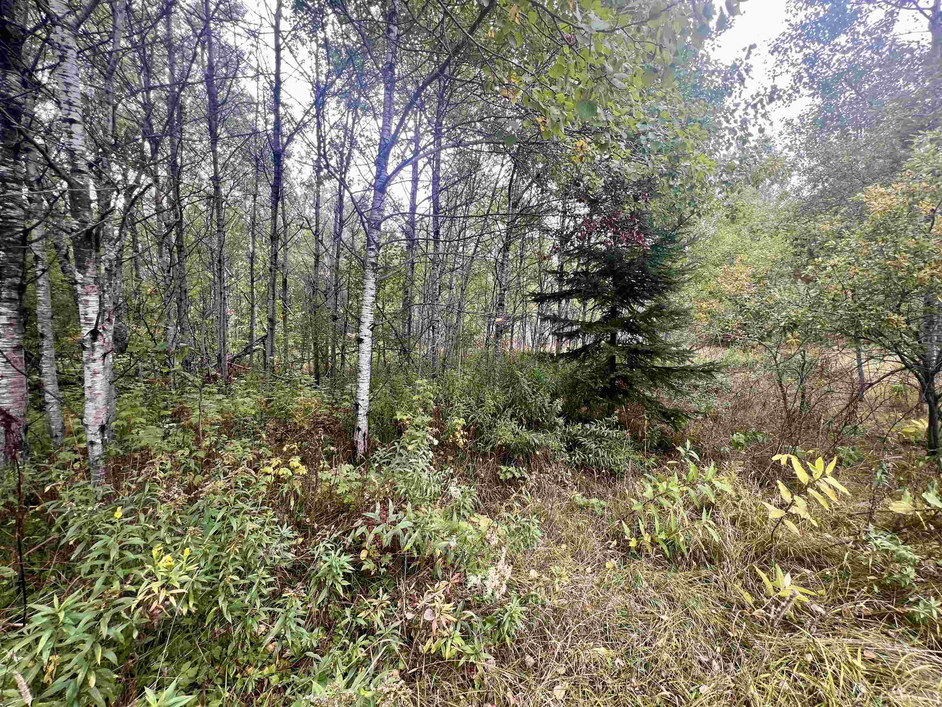 Dream Lake Road, Unit 5 Long Lake, WI 54542 - Photo 4 of 6