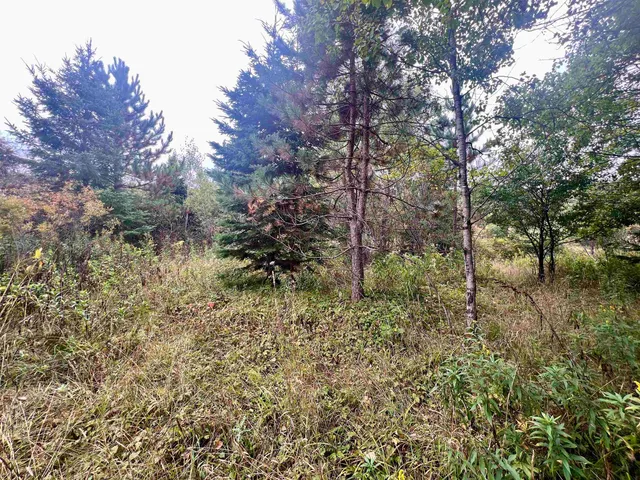 $44,900 | Dream Lake Road, Unit 5, Long Lake, WI 54542