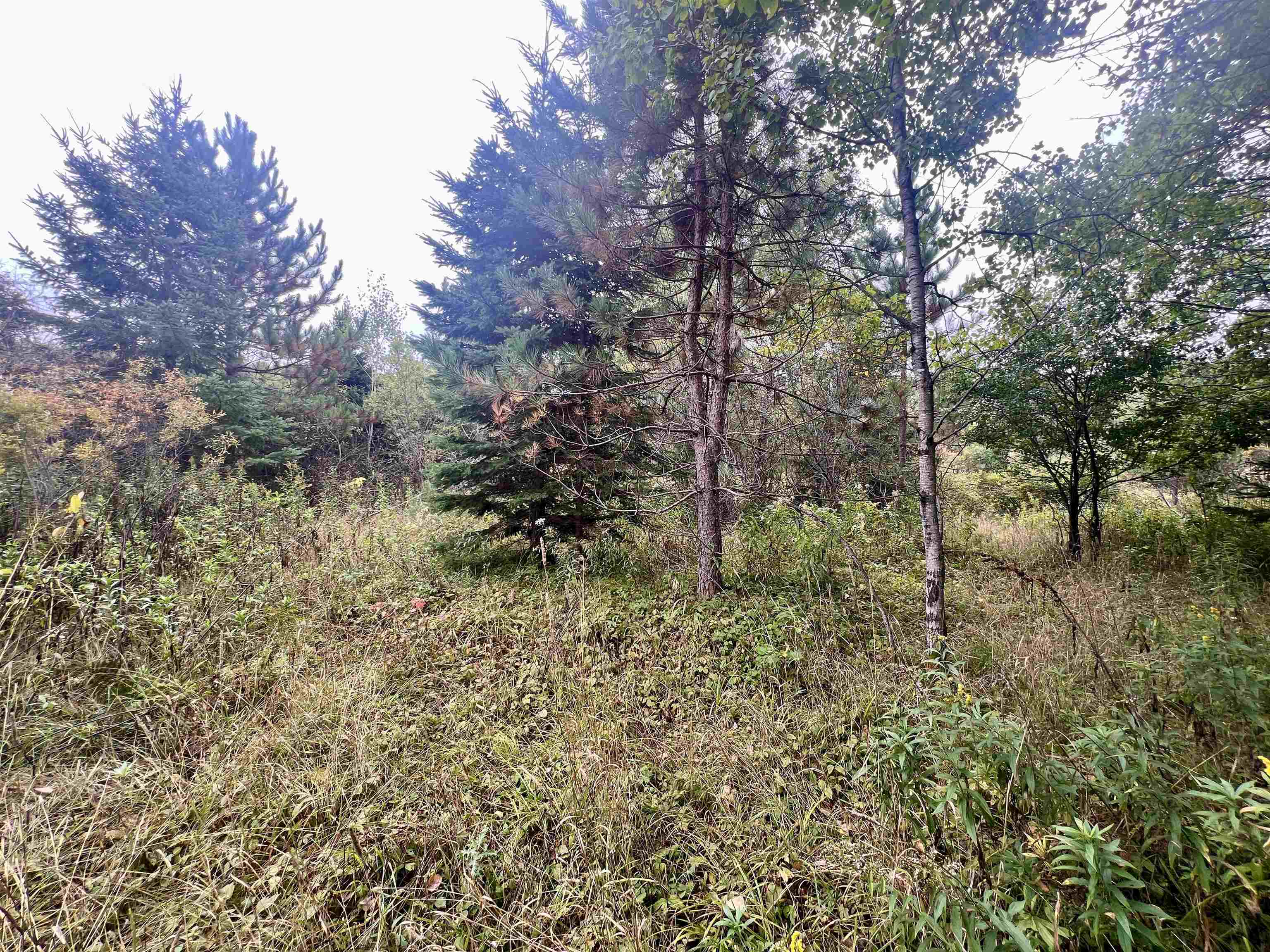 Dream Lake Road, Unit 5 Long Lake, WI 54542 - Photo 5 of 6