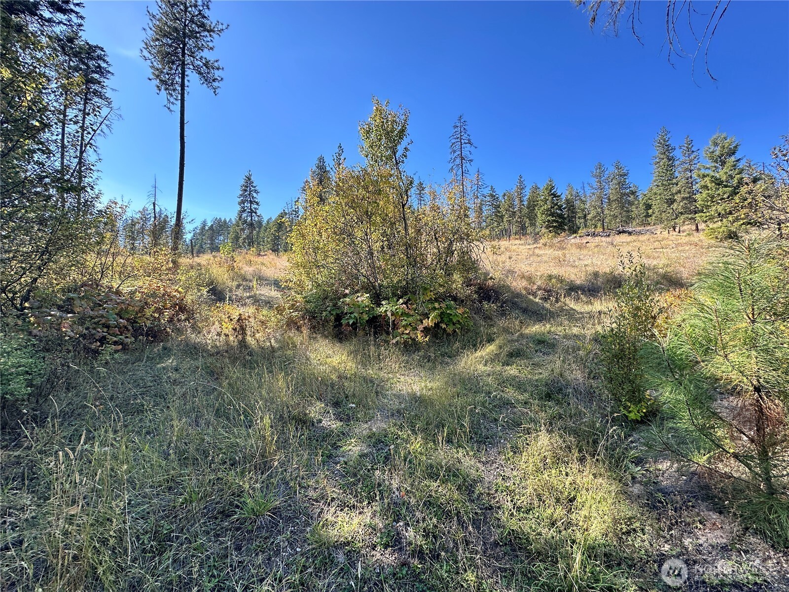 3 Deadman Creek Road Kettle Falls, WA 99141 - Photo 5 of 24 Gallery Image 5