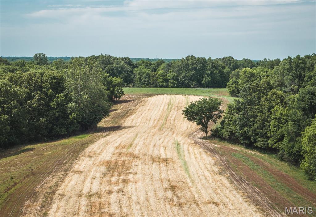 1757 Infidel Hollow Road Mozier, IL 62070 - Photo 25 of 52