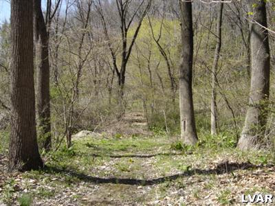 700 Morvale Road Easton, PA 18042 - Photo 2 of 5 a backyard of a house with lots of green space