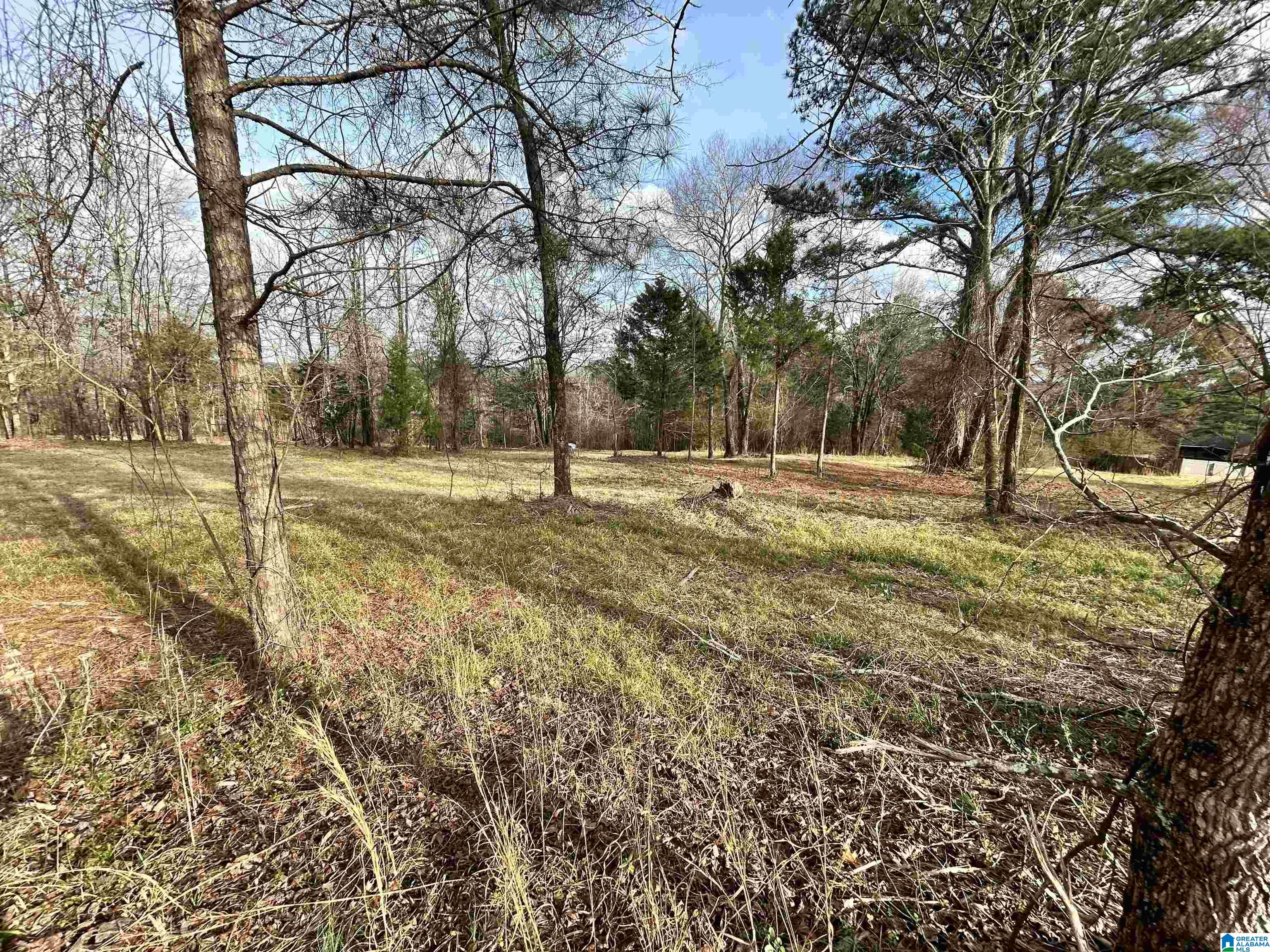 1332 Blackjack Road Trussville, AL 35173 - Photo 3 of 5