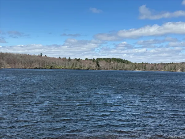 a view of lake with mountain