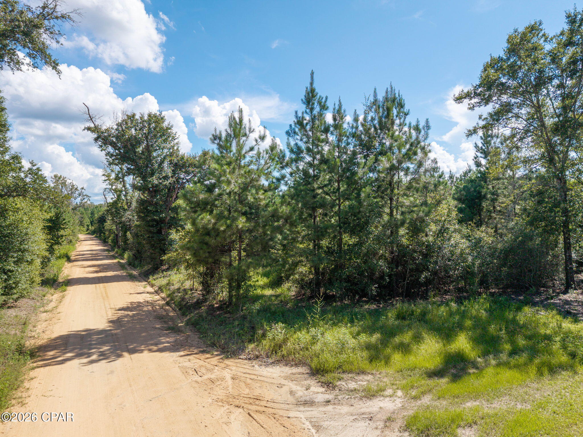 Xxx New Prospect Road Chipley, FL 32428 - Photo 2 of 20 Gallery Image 2
